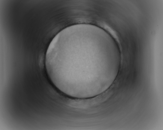 X0000092110009200710031239