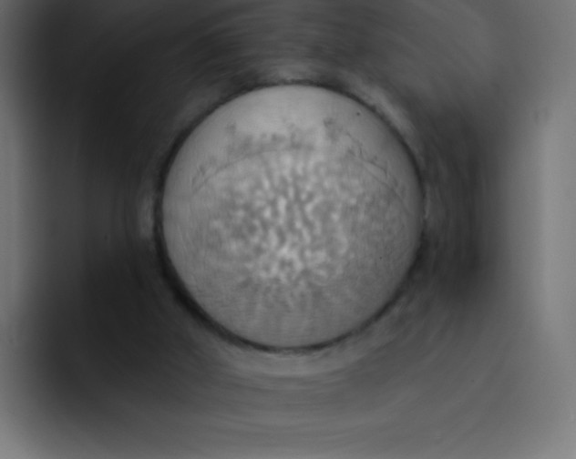 X0000092110010200710031239