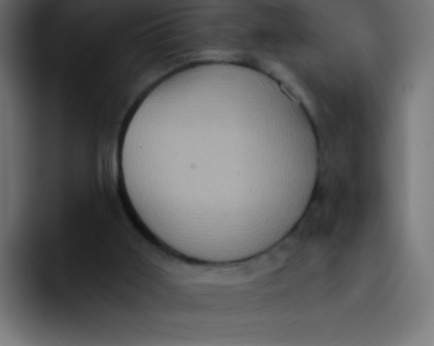 X0000092110011200710031239