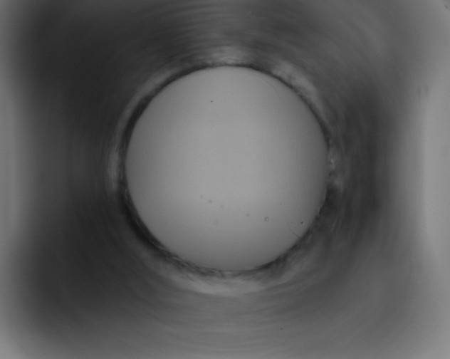 X0000092110012200710031239