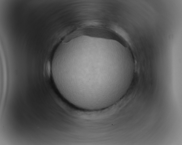 X0000092110013200710031239