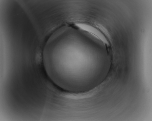 X0000092110017200710031239