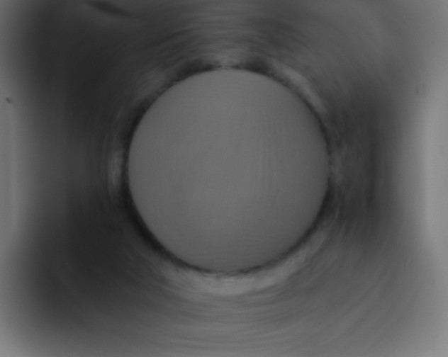 X0000092110018200710031239