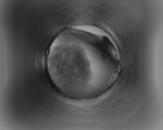 X0000092110019200710031239