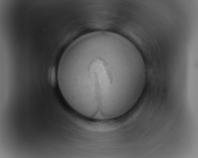 X0000092110020200710031239