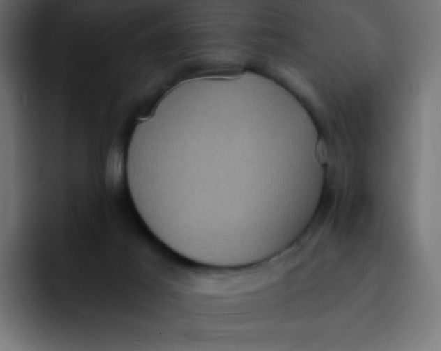 X0000092110021200710031239