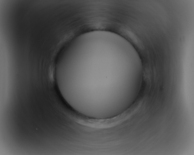 X0000092110023200710031239