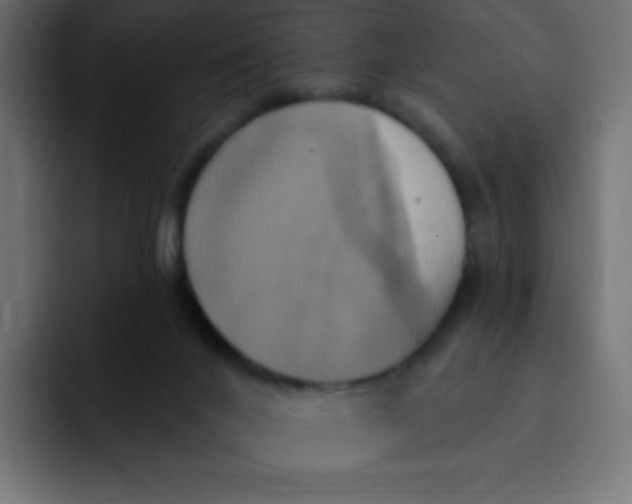 X0000092110024200710031239