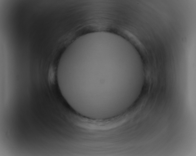 X0000092110026200710031239