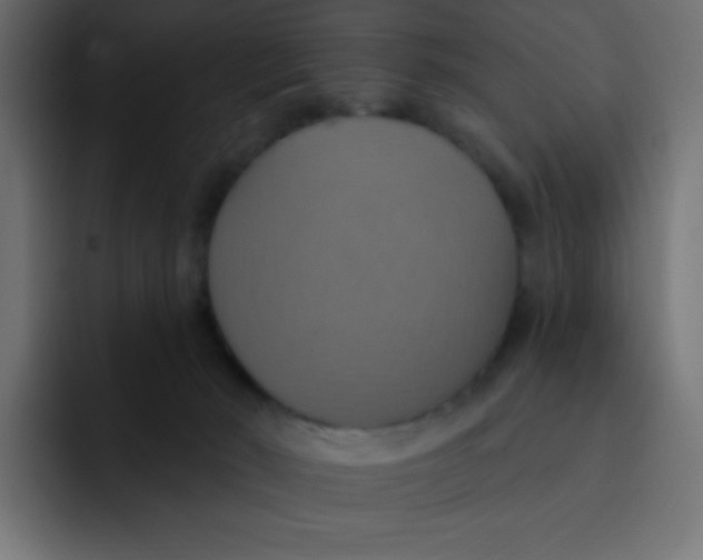 X0000092110030200710031238