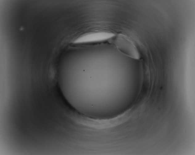 X0000092110031200710031238