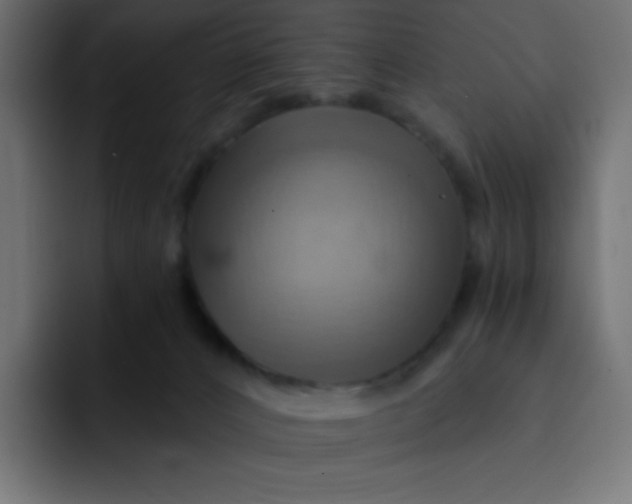 X0000092110032200710031238