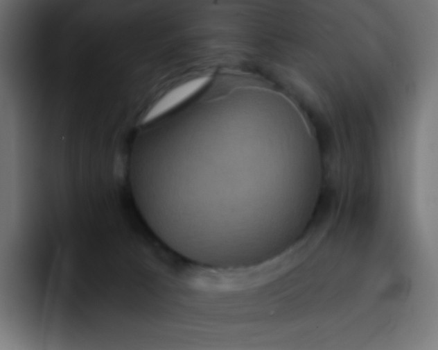 X0000092110033200710031238