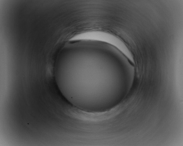 X0000092110035200710031238