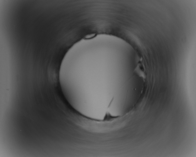 X0000092110039200710031238