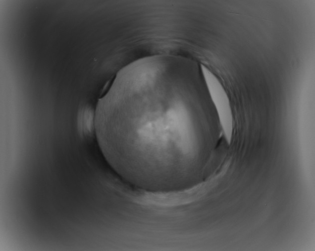 X0000092110041200710031238