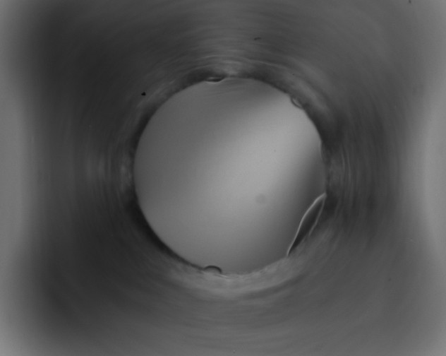 X0000092110043200710031238