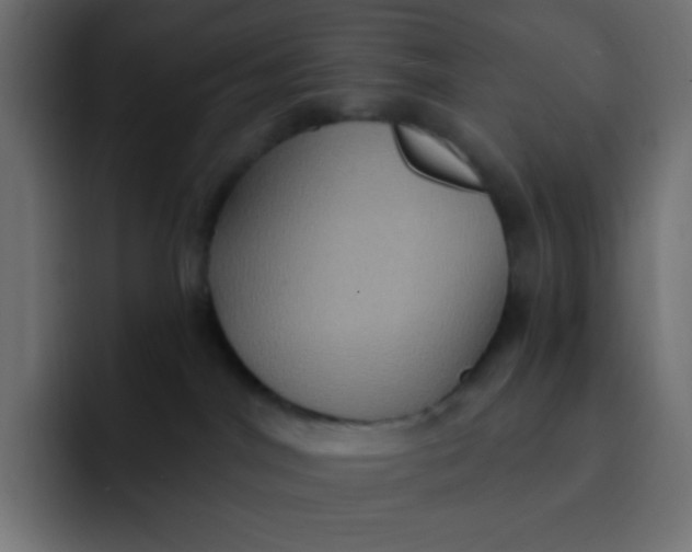 X0000092110044200710031238