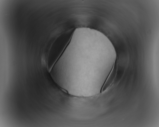 X0000092110045200710031238