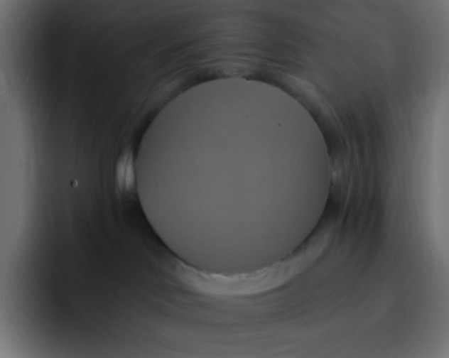 X0000092110046200710031238