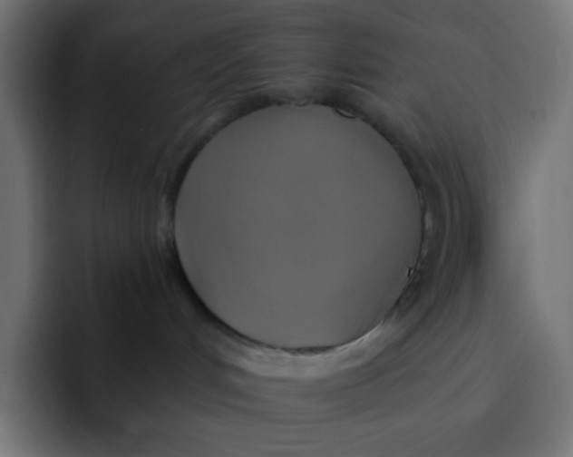 X0000092110048200710031238