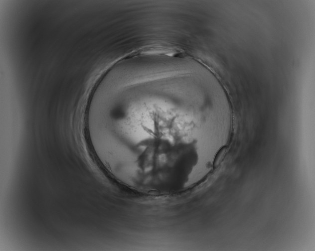 X0000092110049200710031238