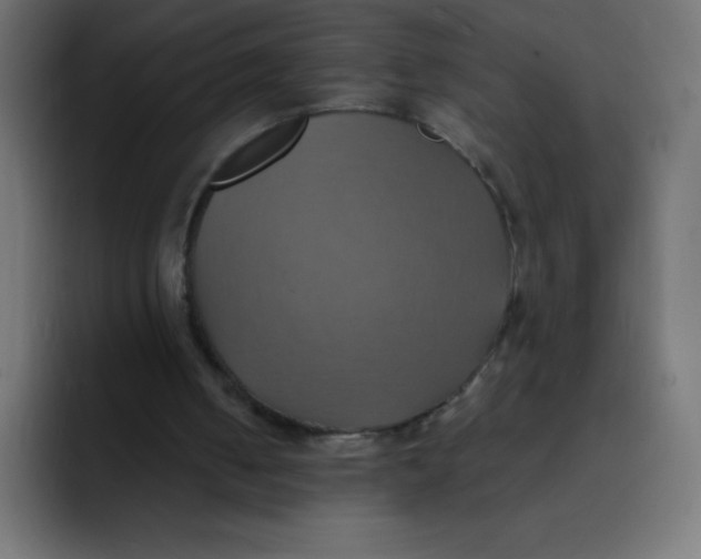 X0000092110050200710031238