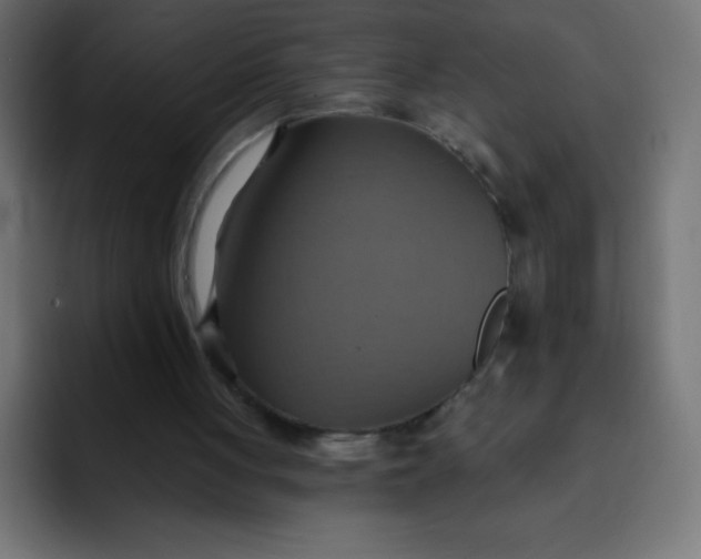 X0000092110051200710031238