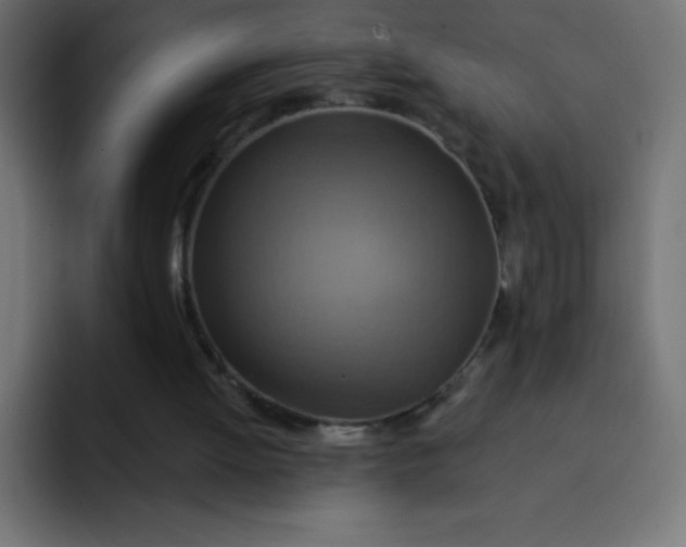 X0000092110052200710031238