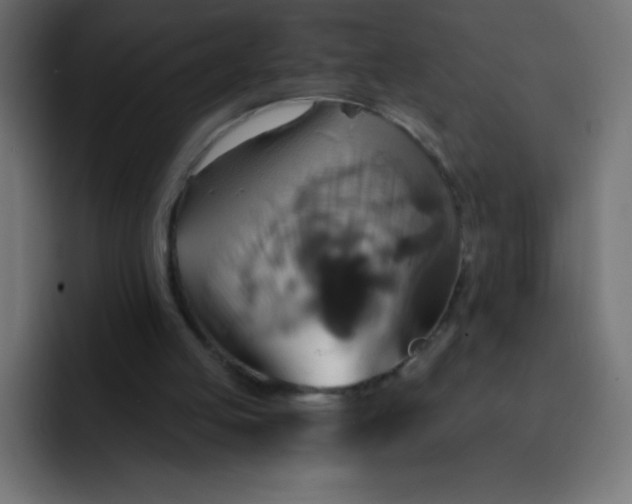 X0000092110053200710031238