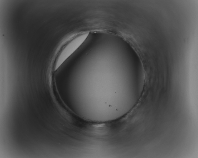 X0000092110054200710031238