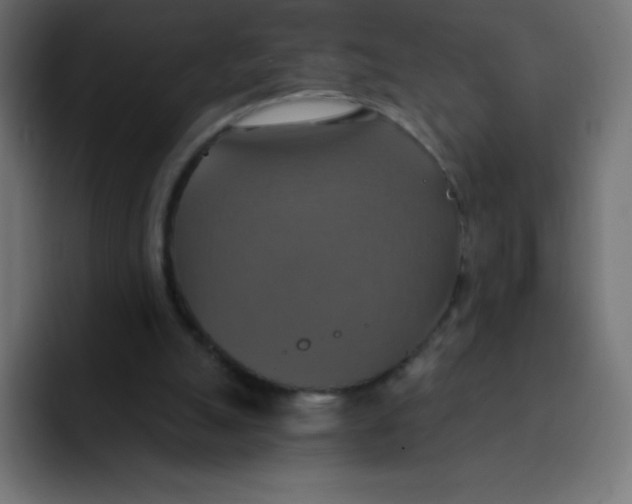 X0000092110055200710031238