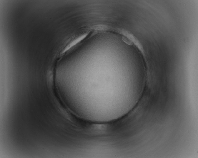 X0000092110057200710031238