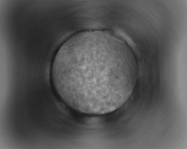 X0000092110058200710031238