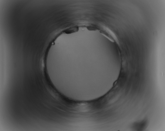 X0000092110059200710031238