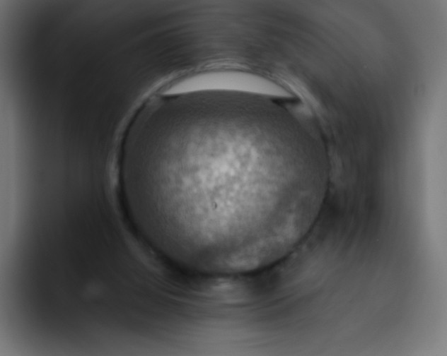 X0000092110060200710031238