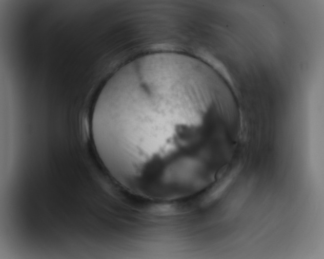 X0000092110061200710031238