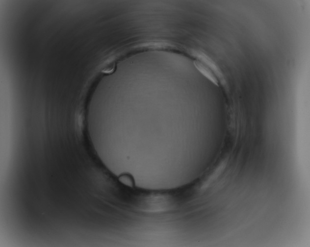 X0000092110063200710031238