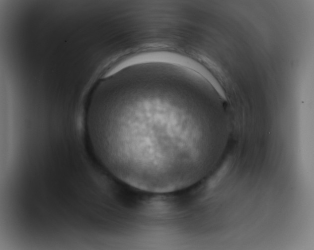 X0000092110064200710031238