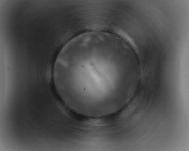 X0000092110065200710031238