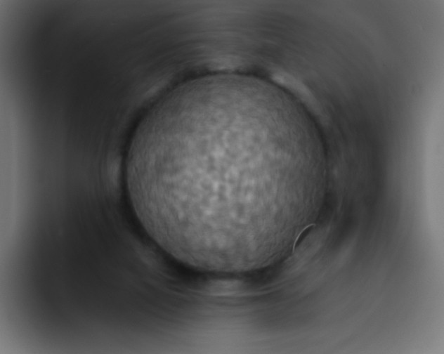 X0000092110066200710031238