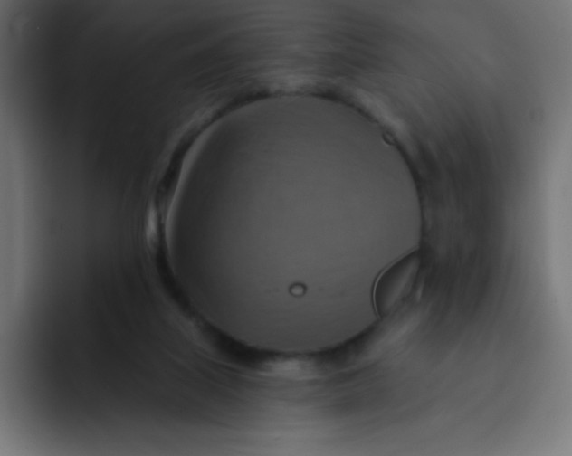 X0000092110067200710031238