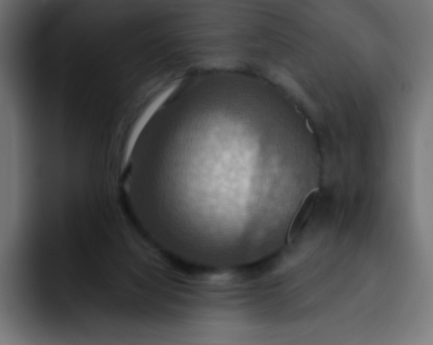 X0000092110068200710031238