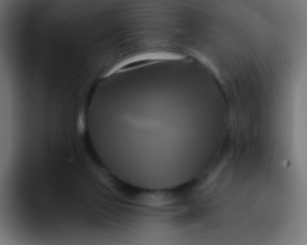 X0000092110069200710031238