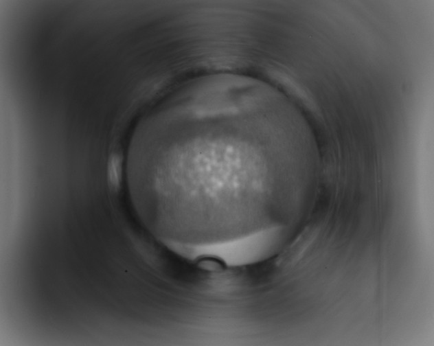 X0000092110070200710031238