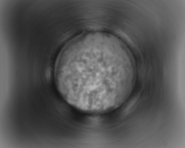 X0000092110071200710031238