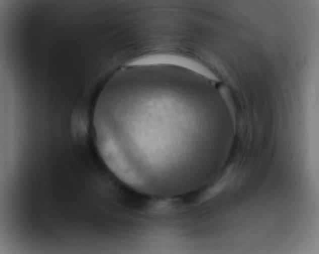 X0000092110072200710031238