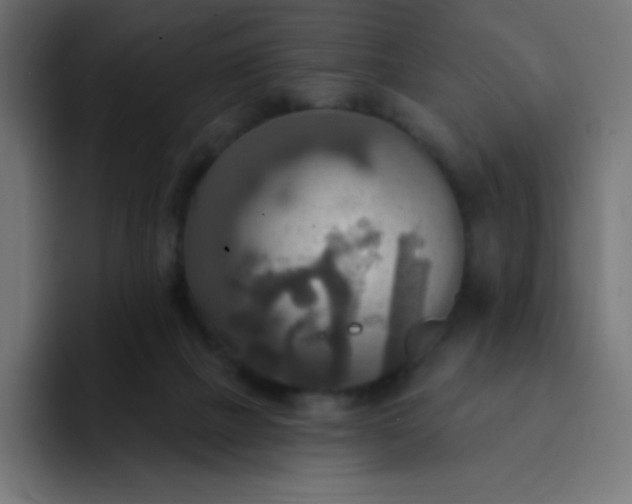 X0000092110073200710031238