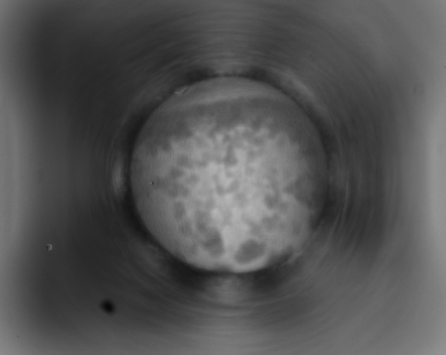 X0000092110074200710031238