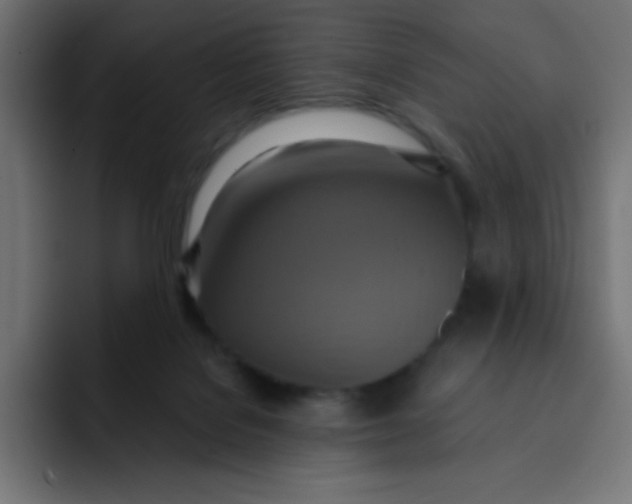 X0000092110076200710031238